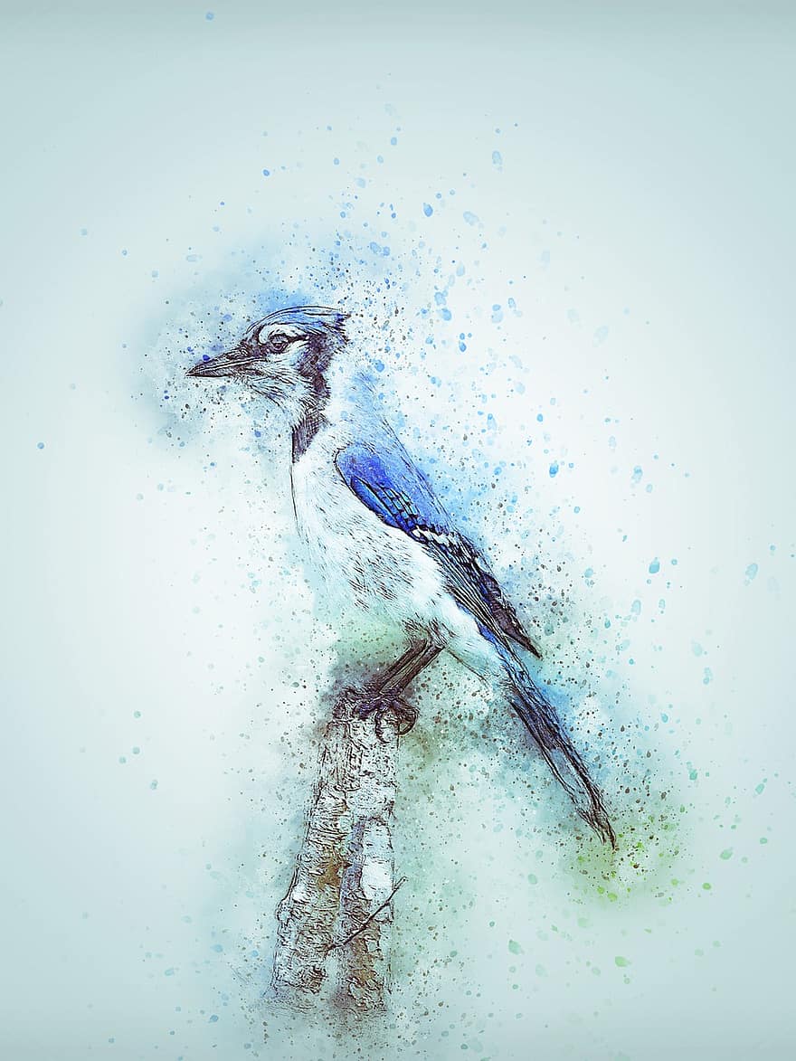 vogel, Blauwe Gaai, schattig, kunst, dier, natuur, abstract, wijnoogst, emotie, waterverf, artistiek