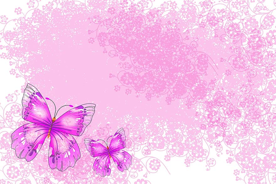 Schmetterlinge, Hintergrund