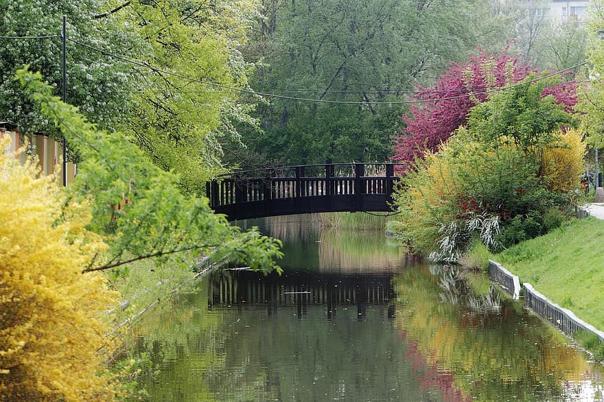 pemandangan, alam, kolam, jembatan, tanaman, pohon, bunga-bunga, warna, vegetasi