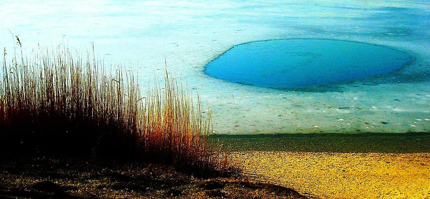 зима, озеро, берег, замороженный, тростник, природа, песок