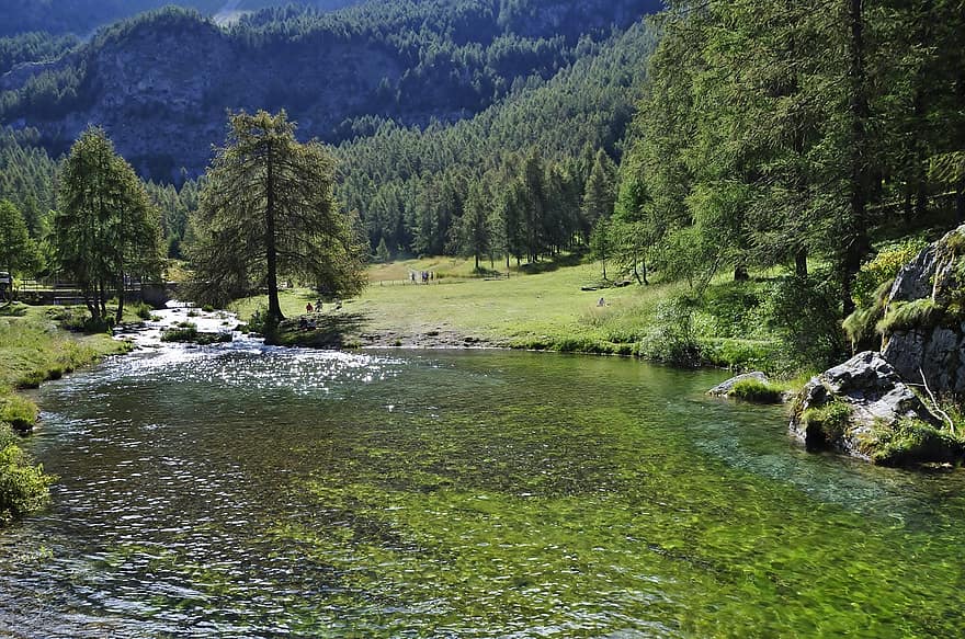 λίμνη, ποτάμι, δέντρα, δάσος, φύλλα, φύλλωμα, νερό, φύση, τοπίο, Άλπεις, Piemonte