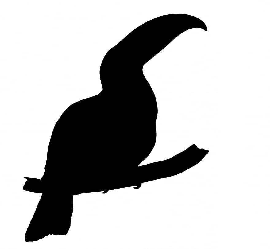 toucan, oiseau, art, noir, silhouette, belle, animal