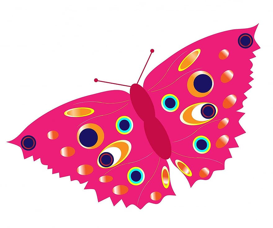 метелик, рожевий, правильно, барвисті, гарний, комаха