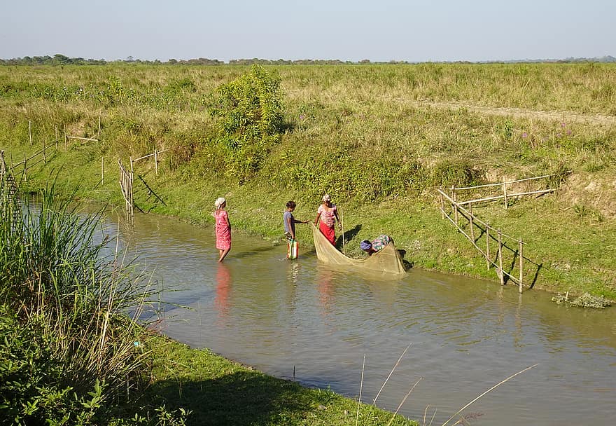 pêche, femmes, net, courant, local, moyens de subsistance, kaziranga, Hommes, eau, été, scène rurale