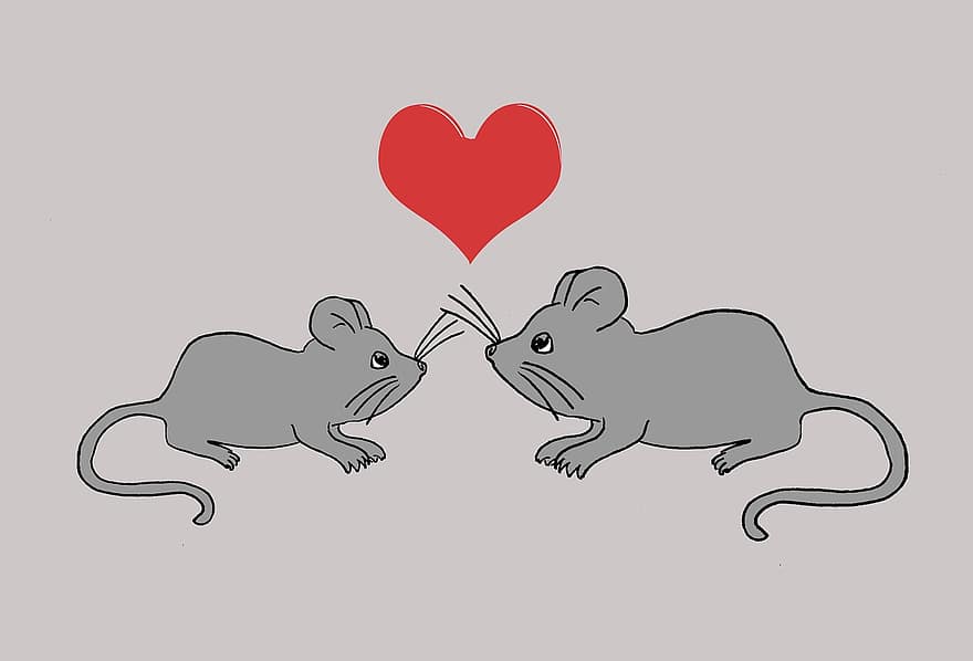 мышей, грызуны, сердце, День святого Валентина, милая, милый, Я люблю тебя, привязанность, животное, млекопитающее, любить