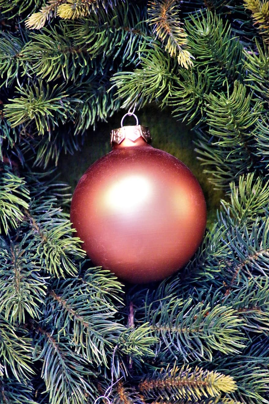 boule de Noel, sapin, Noël, ornement, babiole, décoration de Noël, Sapin de Noël, avènement, décoration, branches, des aiguilles