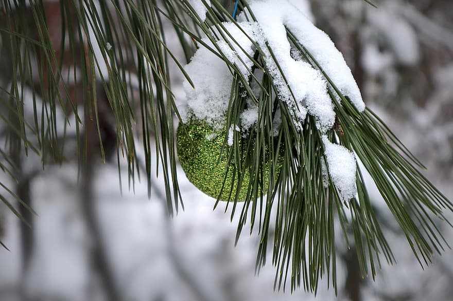 Brad de Crăciun, iarnă, ornament, copac, fleac, decor, vacanţă, sezon, Crăciun, zăpadă, natură