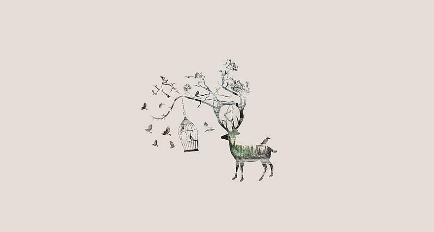 Deer, Birds, Bird Cage, Tree