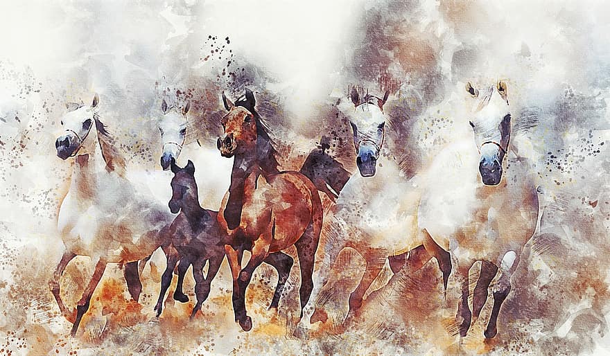 cavalos, corrida, mamífero, natureza, animal, rebanho, cênico, manipulação digital, pintura