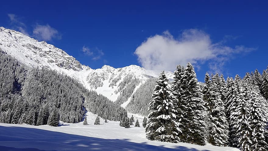 núi, mùa đông, rừng, tuyết, Thiên nhiên, phong cảnh tuyết, màu xanh da trời, phong cảnh, cây, Nước đá, Mùa