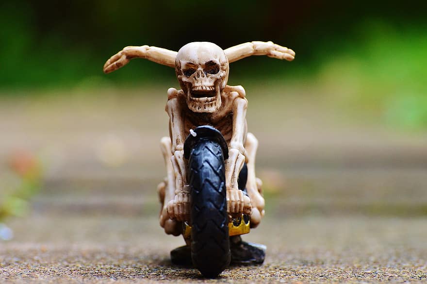 motorista, esqueleto, horripilante, extraño, decoración, de miedo, hueso, horror, calavera, cráneo, hueso del cráneo