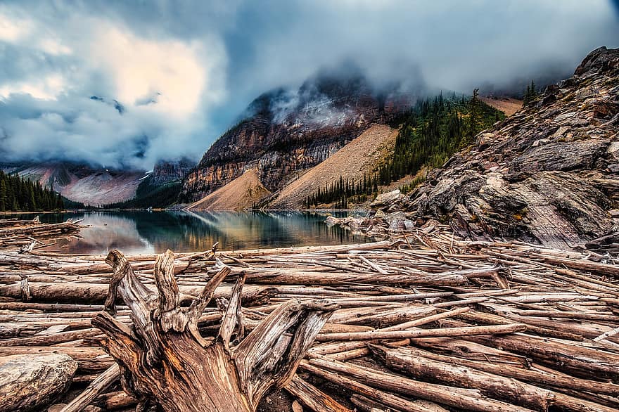 banff, Kanada, danau, log, kemacetan log, gunung, gurun