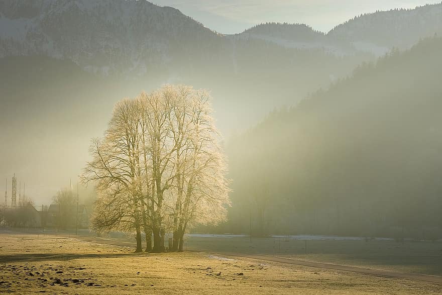 Berge, Nebel, fallen, Landschaft, Natur, Herbstlandschaft, Morgensonne, Baum, Wald, ländliche Szene, Winter