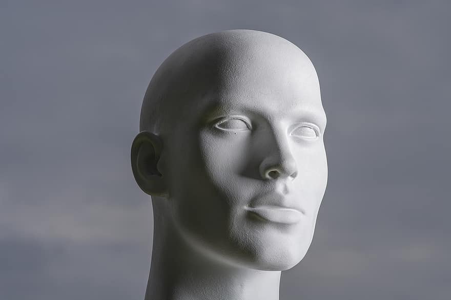 Mann, hode, ansikt, mannequin, modell, mann, skallet, øyne, nese, munn, menneskelig