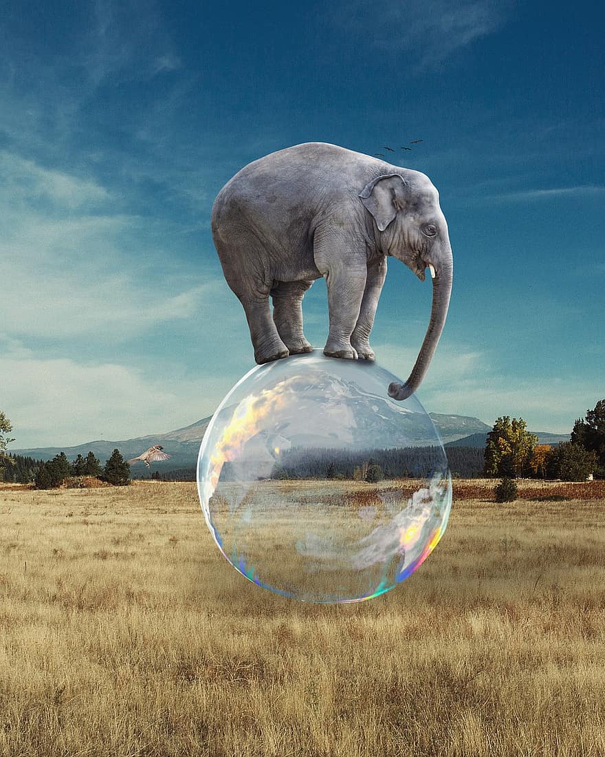 l'éléphant, bulle, équilibre, surréaliste, fantaisie, Afrique, savane, cirque, équilibrage, photomontage, composite