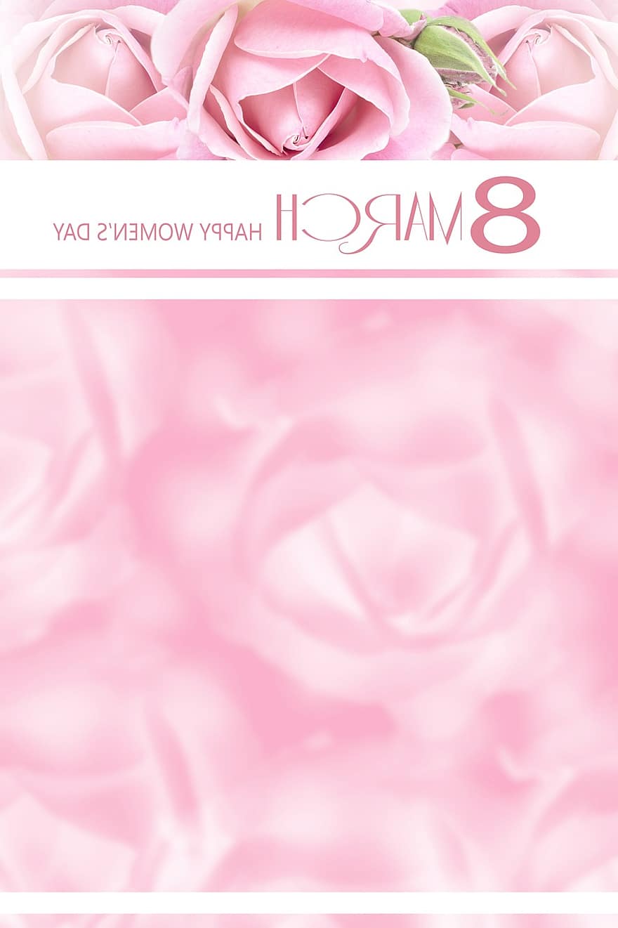 Women's Day, 8 March, Space For Text, Love, Romance, Delicate, Desktop, Flower, Card, Romantic, Rose