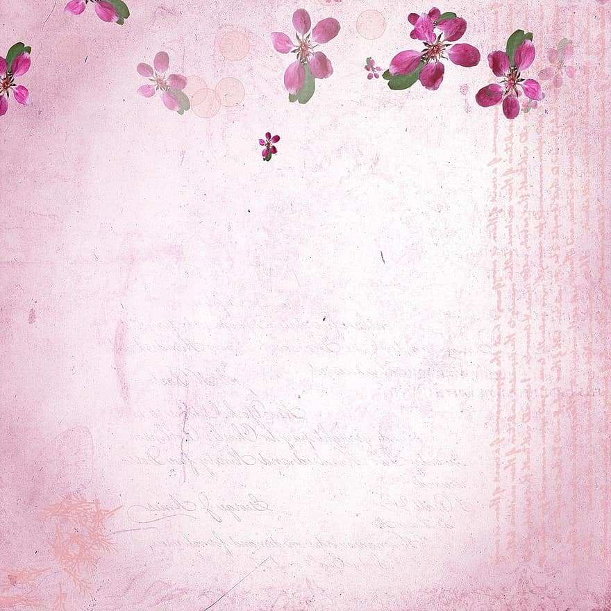 Scrapbook, Paper, Background, Summer, Spring, Flowers, Flower