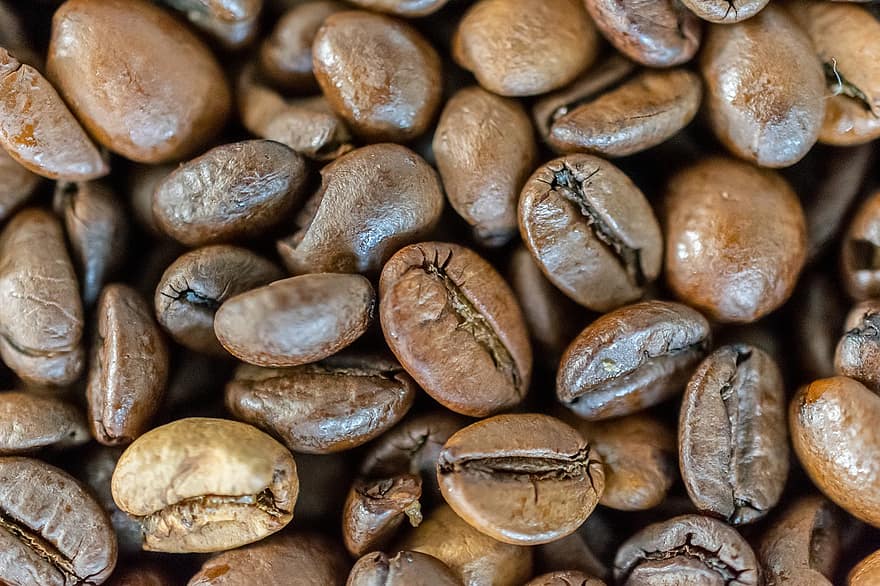kávové zrno, fazole, pražení, opečený, hnědý, napít se, káva, detail, pozadí, svěžest, kofein