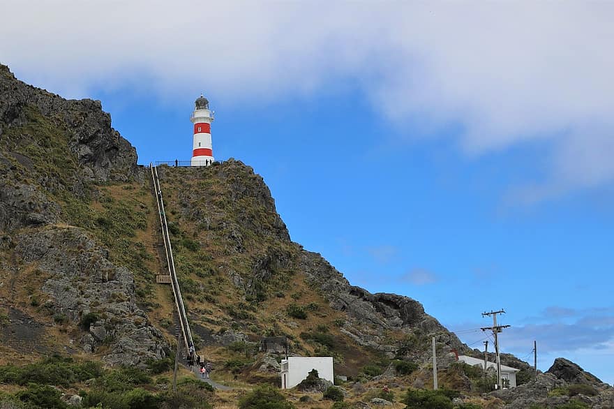 Cape Palliser, Light House, New Zealand, Coast, White, Red, Light Tower, Architecture, Nautical, Safety, Beacon