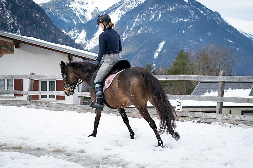 kuda, menunggang kuda, musim dingin, paddock, peternakan, pengendara, berkuda, salju, olahraga, gunung, tanah pertanian