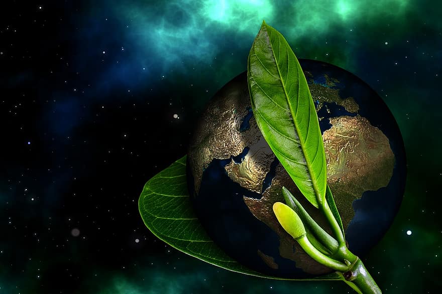 Pământ, glob, naștere, nou, apărea, mediu inconjurator, protectia mediului, prietenos cu mediul, frunze, verde, plantă