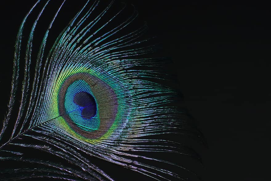 孔雀の羽、フェザー、羽毛、孔雀の目、マルチカラー、孔雀、青、パターン、閉じる、きらきら、抽象
