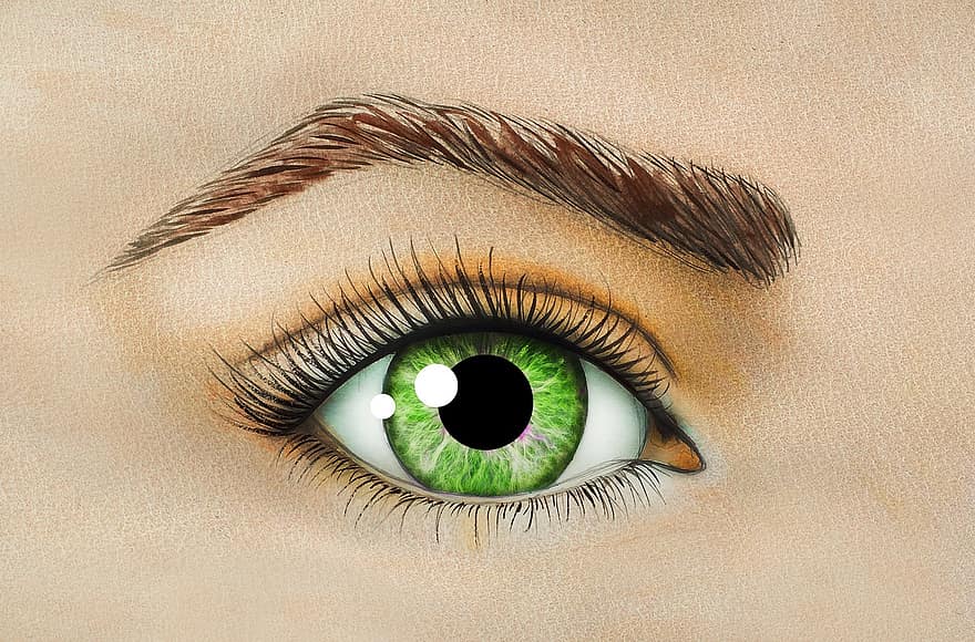 око, зелені очі, брова, вії, краса, жінка, самка, дівчина, Частина обличчя