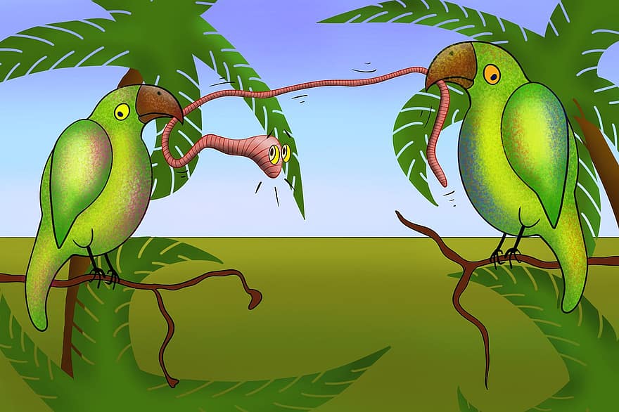 Papoušek, červ, podíl, pták, volně žijících živočichů, poboček, stromy, dlaně, legrační, Afrika, Austrálie