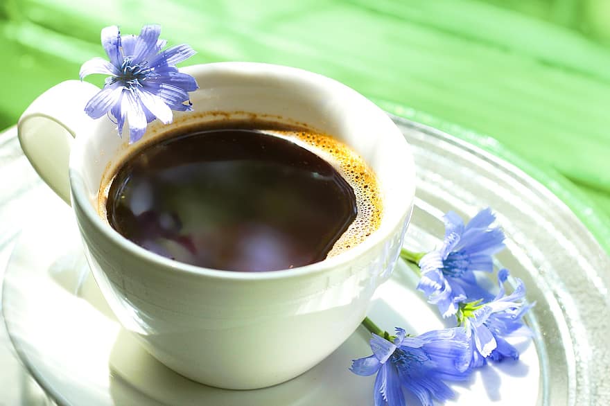 kopi, cangkir, chicory, bunga-bunga, minum, minuman, kafein