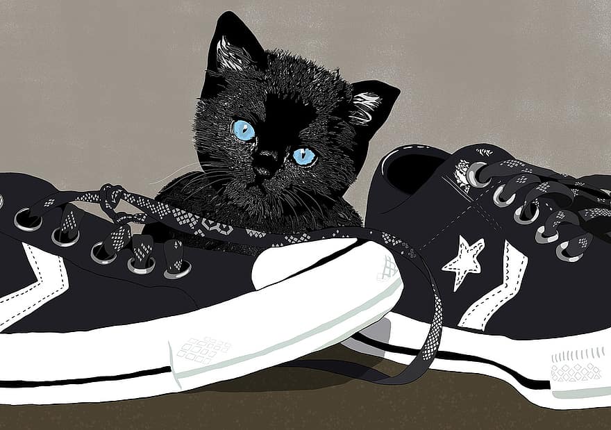 قط ، قطه صغيرة ، أحذية رياضية ، كيتي ، القطط ، حيوان اليف ، جذاب