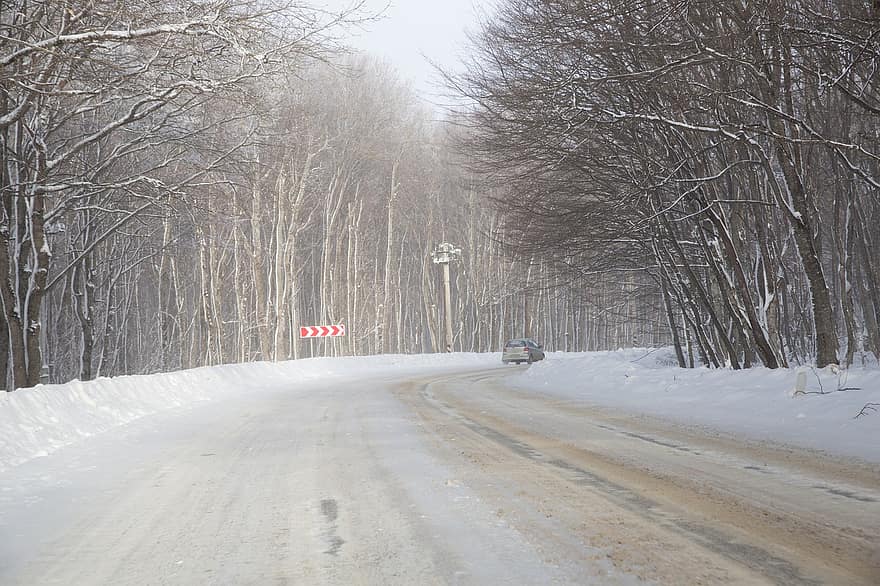 natur, snøstorm, bil, asfalt, kald, fare, kjøring, tåke, skog, frost, hovedvei