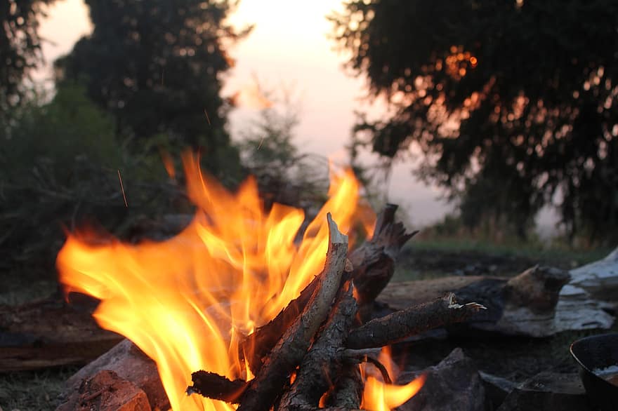 foc, flăcări, foc de tabără, lemne de foc