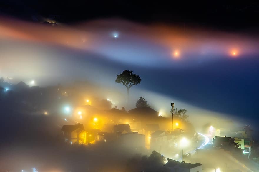 霧、夜、タウン、木、ダラット、ライト、家、霧の、イブニング、日没、夕暮れ