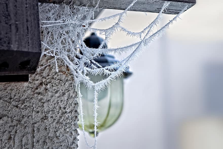 seinä, seitti, halla, jäädytetty, jäätynyt, lumi, huurre, talvi-, kylmä, verkko, hämähäkinverkko