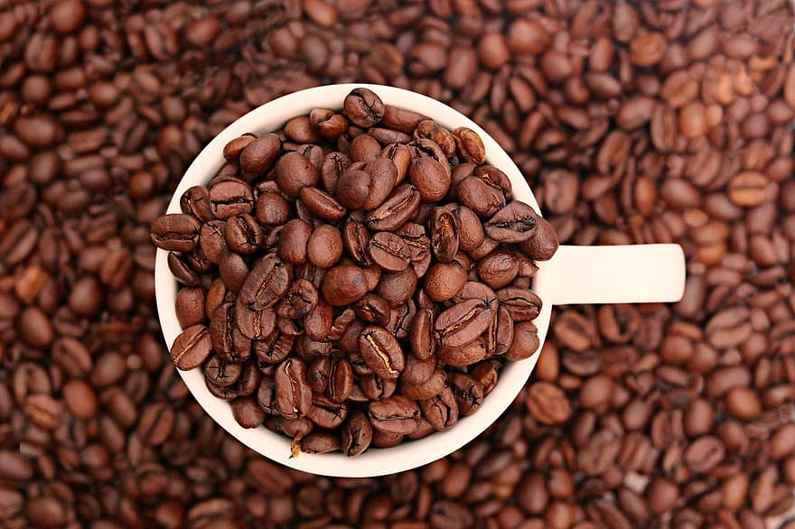 káva, Kávová zrna, kofein, fazole, detail, svěžest, pozadí, napít se, semínko, jídlo, gurmán