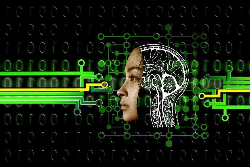 face, borda, binário, inteligência artificial, cérebro, condutores, nulo, 1, mulher, tecnologia, digital