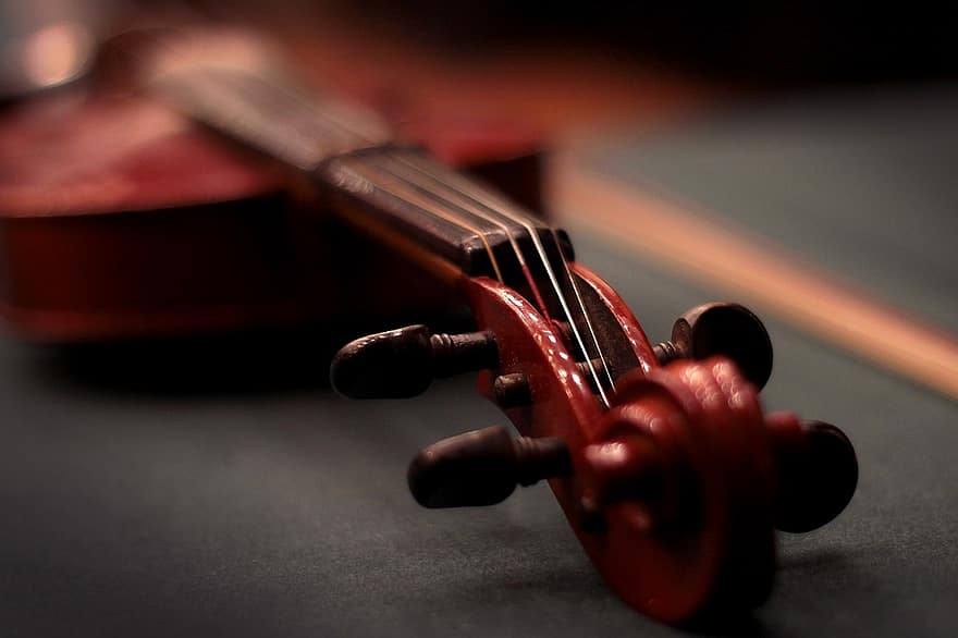 violino, instrumento, música, cordas, pegbox, instrumento musical