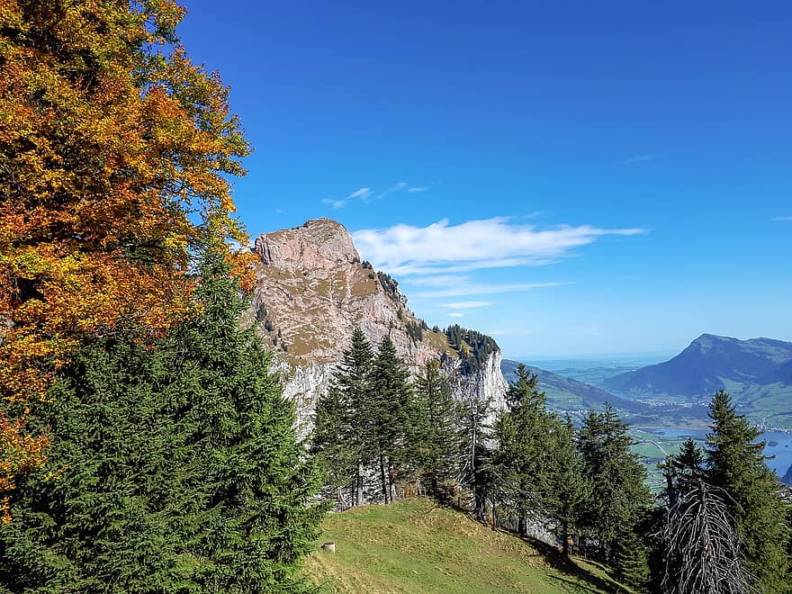 hegyek, tó, csúcstalálkozó, természet, Alpok, schwyz, mythenregion, hegy, erdő, tájkép, fa