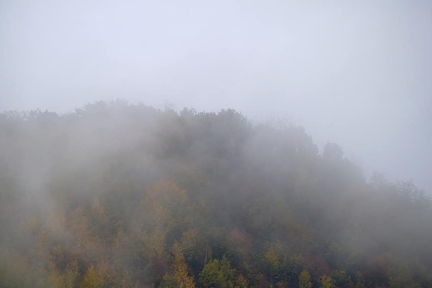 mlha, podzim, Příroda, les, stromy, venku, strom, sezóna, krajina, žlutá, hora
