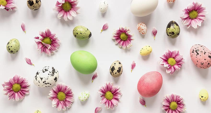 Пасха, яйца, плоская планировка, цветы, пасхальные яйца, крашеные яйца, перепелиные яйца, гербера, лепестки, пасхальное украшение, фон