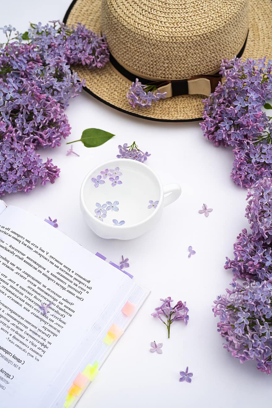 Spring, Lilac, Cup, Drink, Book, Hat, Flowers, Purple Flowers, Bloom, Still Life, Closeup