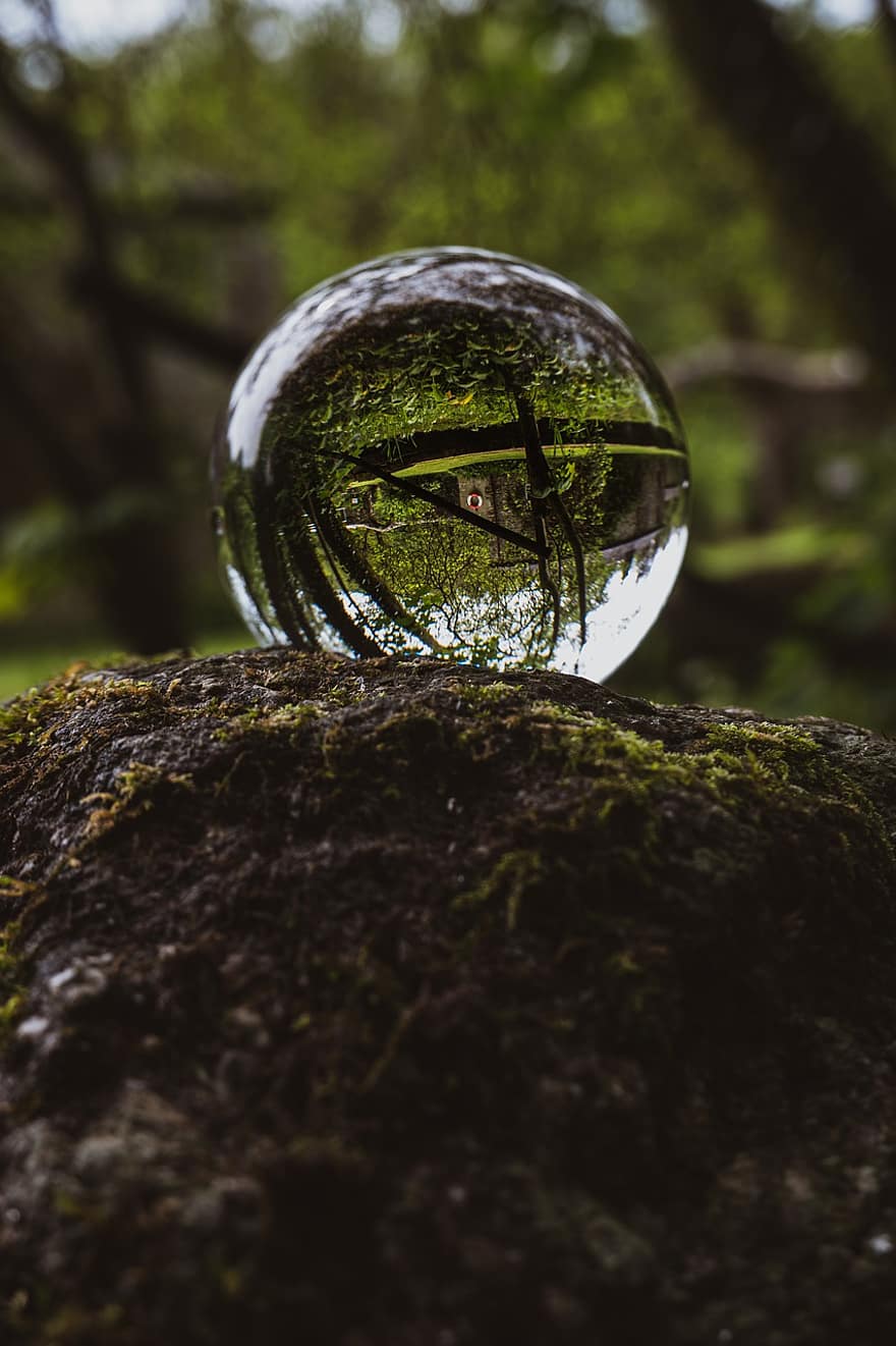 Rocha, bola de lente, esfera, bola de cristal, reflexão, objetivo, foco, sazonal, floresta, montanhas, ao ar livre
