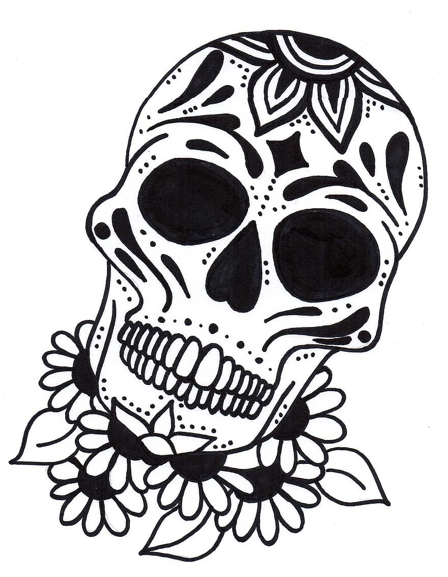 crâne, mexicana, crâne mexicain