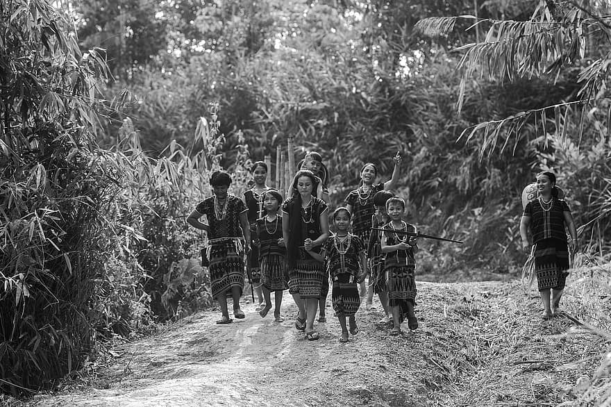 Vietnam, Gente Katu, agricultura, Dong Giang, gente indígena, quang nam, bosque, La tala de bosques para la agricultura