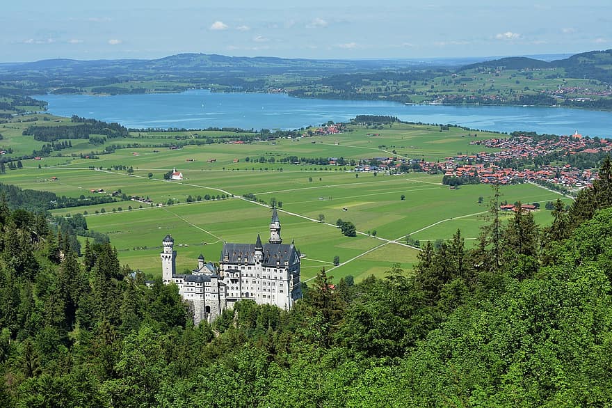 neuschwanstein, sjö, Tyskland, bavaria, allgäu, sommar, slott, landskap, landsbygden scen, grön färg, äng
