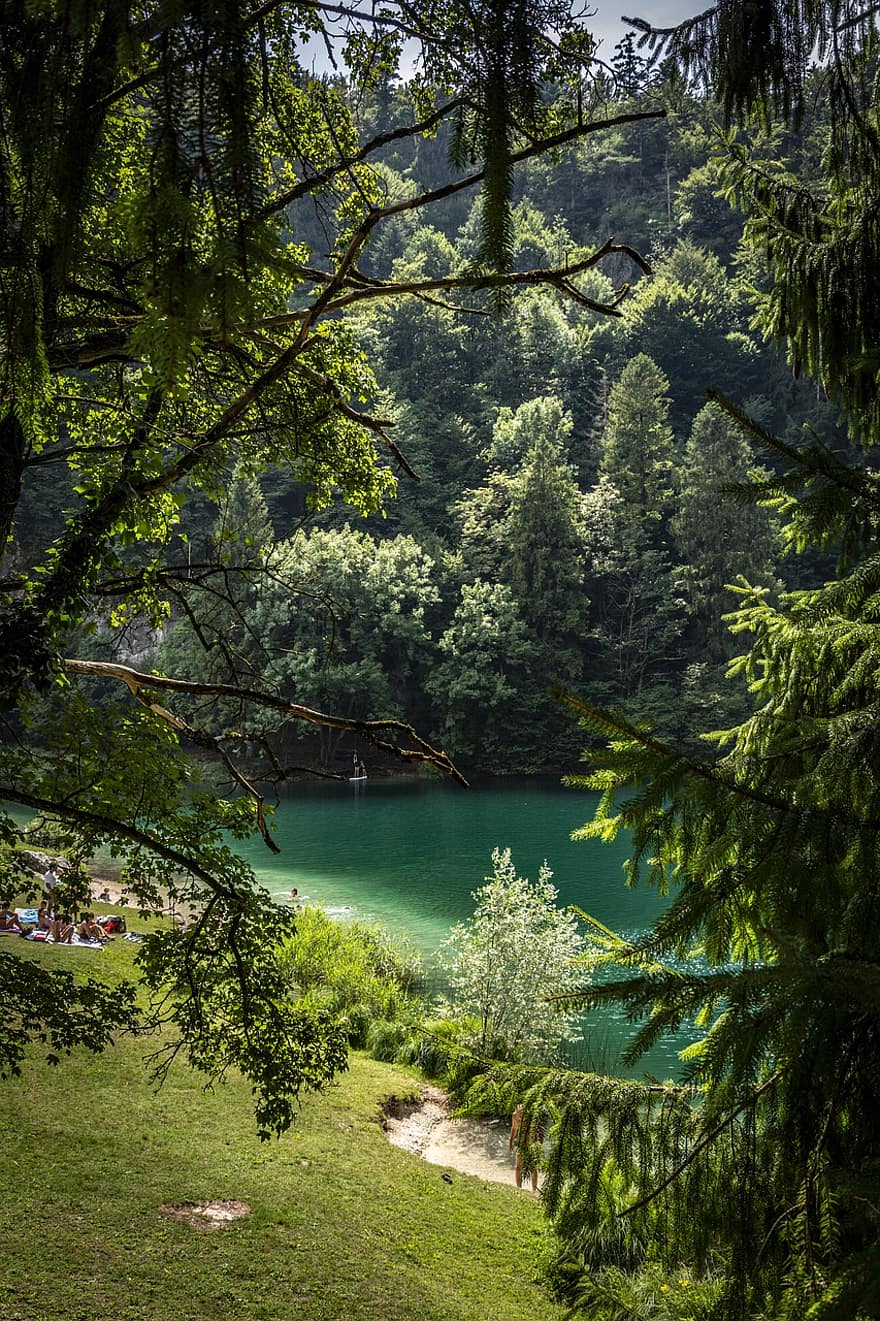 Trees, Forest, Lake, Mountains, Hiking, Water, Dolomites, Alpine, Excursion, Nature, Landscape