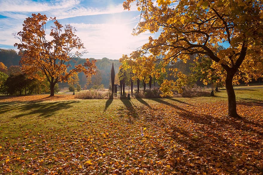 autunno, parco, natura, alberi, campo, le foglie, fogliame, paesaggio, stagione, albero, foglia