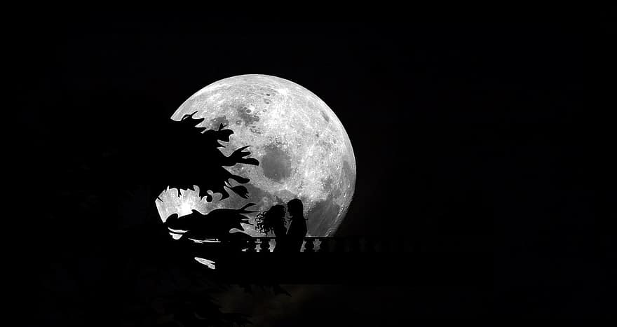 bulan, langit malam, malam, malam terang bulan, bulan purnama, alam, astro, pemandangan, bayangan hitam, pacar, pasangan yang belum menikah