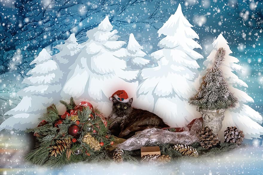Noel, kar, kedi, kış, dekorasyon, Aralık, Kar taneleri, Noel zamanı, gelişi, noel motifi, yılbaşı tebrik