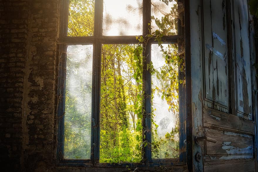 окно, природа, деревья, на открытом воздухе